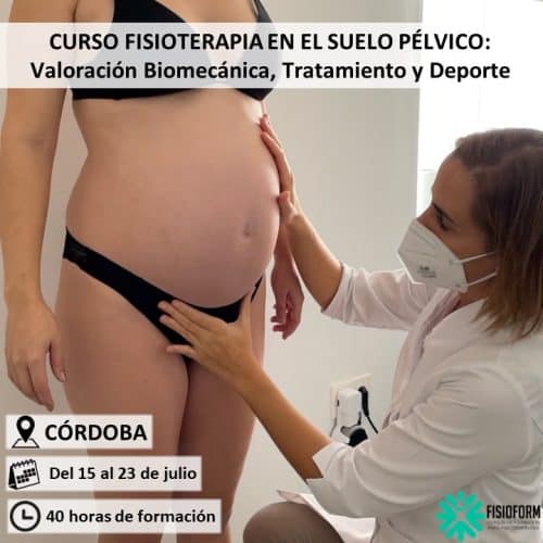 Curso Fisioterapia en Suelo Pélvico Córdoba
