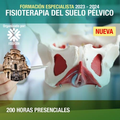 Formación Especialista en Fisioterapia Suelo Pélvico en Murcia