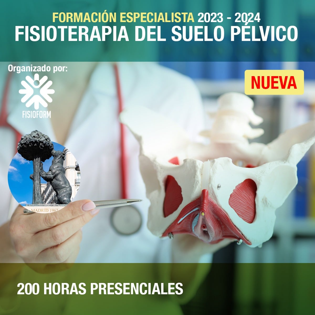 Formación Especialista en Fisioterapia Suelo Pélvico en Madrid