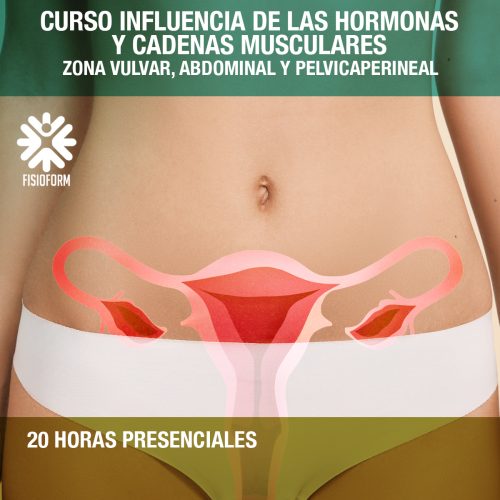Curso Influencia de las hormonas y cadenas musculares sobre la zona vulvar, abdominal y pelvicaperineal